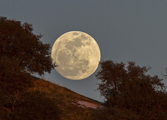 BR06: Beautiful Moon