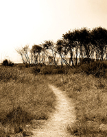 Path to the Beach